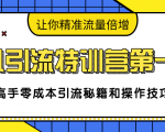 卓凡引流特训营第一期：高手零成本引流秘籍和操作技巧，让你精准流量倍增-一起网赚吧