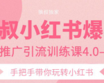 狼叔小红书爆款推广引流训练课4.0，手把手带你玩转小红书-一起网赚吧
