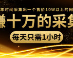 年赚十万的采集站，每天却只需要1小时，一年时间采集出一个售价10W以上的网站-一起网赚吧
