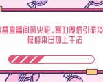 抖音直播间风火轮，暴力微信引流技术，低成本日加上千法-一起网赚吧