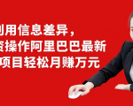利用信息差异,零投资操作阿里巴巴最新管道项目轻松月赚10000+-一起网赚吧
