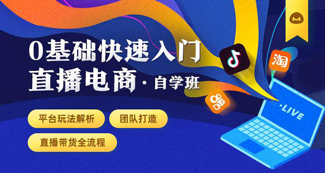 0基础快速入门直播电商课程：直播平台玩法解析-团队打造-带货全流程等环节-一起网赚吧