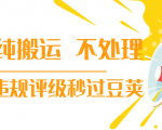 抖音纯搬运 不处理 小技巧,30秒发一个作品,避免违规评级秒过豆荚-一起网赚吧