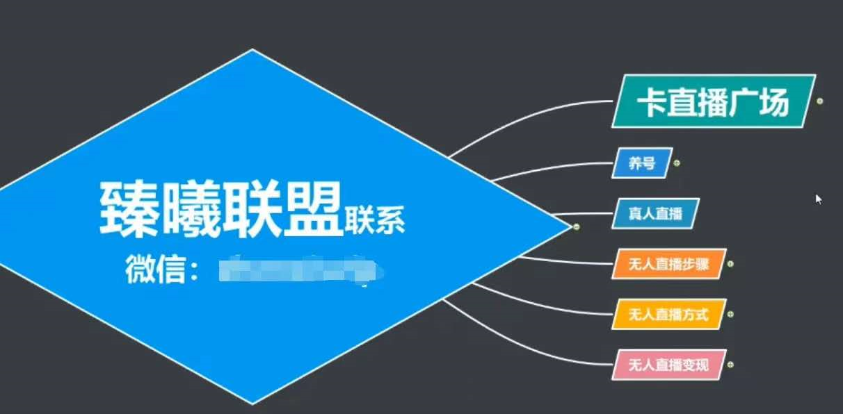 臻曦联盟，最新无人直播万人在线技术理原及详细操作步骤解析（视频教程）-一起网赚吧