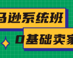 亚马逊系统班,专为0基础卖家量身打造,亚马逊运营流程与架构-一起网赚吧