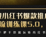 小红书爆款推广引流训练课5.0，手把手带你玩转小红书（17节实操视频+话术）-一起网赚吧