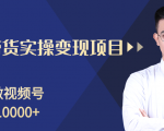 柚子分享课：微信视频号变现攻略，新手零基础轻松日赚千元-一起网赚吧