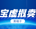 黑帽子淘宝虚拟卖货项目，单店每月收入5000+-一起网赚吧