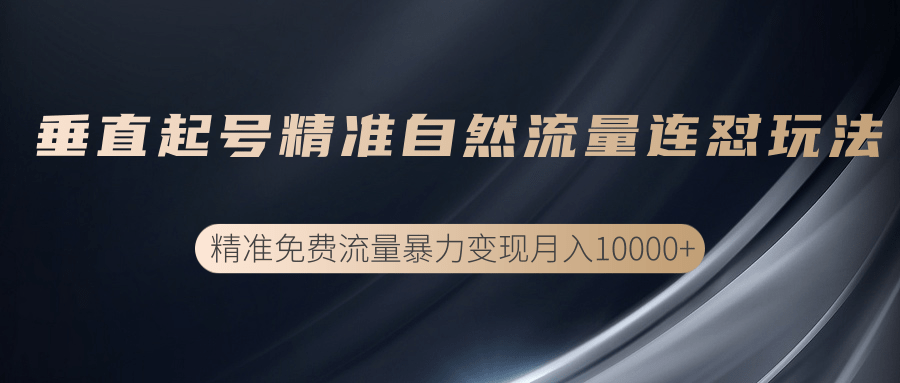 垂直起号精准自然流量连爆玩法，精准引流暴力变现月入10000+-一起网赚吧