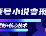 柚子微信视频号小说变现项目，全新玩法零基础也能月入10000+【核心技术】-一起网赚吧
