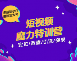 零基础小白进阶到大神《短视频魔力特训营》定位-运营-引流-变现-一起网赚吧