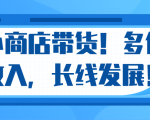 微信小商店带货，爆单多倍收入，长期复利循环！日赚300-800元不等-一起网赚吧
