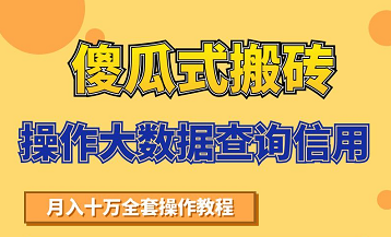 搬砖操作大数据查询信用项目赚钱教程，祝你快速月入6万-一起网赚吧