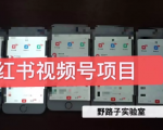 野路子小红书视频号1.0项目，直接上手操作就能赚钱的视频号项目-一起网赚吧