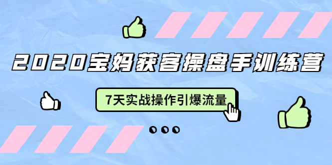 2020宝妈获客操盘手训练营：7天实战操作引爆 母婴、都市、购物宝妈流量-一起网赚吧