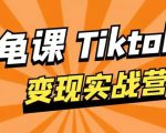 龟课·TikTok变现实战训练营线上第1期，多种变现模式，轻松赚美刀-一起网赚吧
