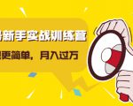视频号新手实战训练营,让变现更简单,玩赚视频号,轻松月入过万-一起网赚吧