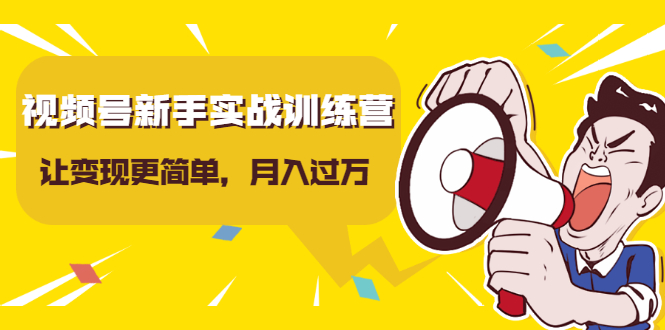 视频号新手实战训练营，让变现更简单，玩赚视频号，轻松月入过万-一起网赚吧