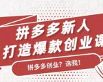 拼多多新人打造爆款创业课：快速引流持续出单，适用于所有新人-一起网赚吧