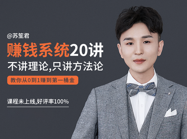 苏笙君的赚钱系统20课 教你从0到1赚到你的第一桶金（不讲理论，只讲方法论）-一起网赚吧