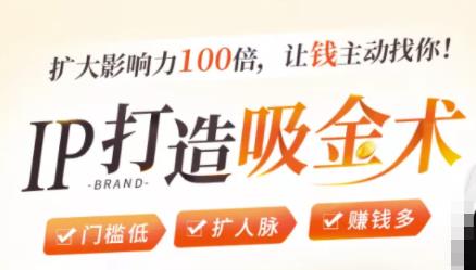 IP打造吸金术：0基础0资源，也能扩大影响力100倍，让钱主动找你！-一起网赚吧