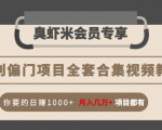 暴利偏门项目全套合集视频教程：你要的日赚1000+月入几万+项目都有-一起网赚吧
