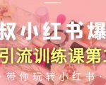 狼叔小红书爆款推广引流训练课第12期,手把手带你玩转小红书-一起网赚吧