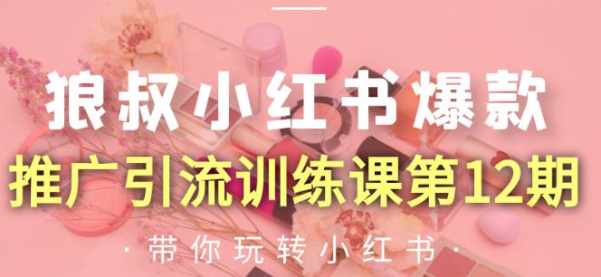 狼叔小红书爆款推广引流训练课第12期，手把手带你玩转小红书-一起网赚吧
