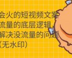 只说话就会火的短视频文案课，从根本上解决没流量的问题-一起网赚吧