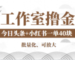 工作室撸金二件套：撸今日头条原创收益+小红书一单利润40块项目-一起网赚吧