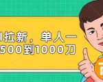 Paypal拉新赚美刀项目，单人一天利润500-1000刀【视频课程】-一起网赚吧
