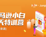 雨课·亚马逊小白特训营第9期 跨境电商挺赚钱的 有朋友已经月入几十万美金-一起网赚吧