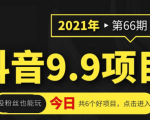 抖音9.9课程项目,没粉丝也能卖课,一天300+粉易变现-一起网赚吧