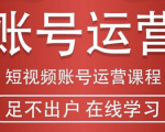 短视频账号运营课程：从话术到短视频运营再到直播带货全流程，新人快速入门-一起网赚吧
