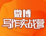 村西边老王·微博超级写作实战营,帮助你粉丝猛涨价值999元-一起网赚吧