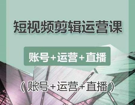 南小北短视频剪辑运营课：账号+运营+直播，零基础学习手机剪辑【视频课程】-一起网赚吧