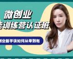 微创业全能训练营认证班课程，从理论知识与实际案例手把手指导创业新手如何从零到有-一起网赚吧