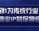 从0到1为传统行业打造抖音商业IP简单高效的保姆级攻略-一起网赚吧