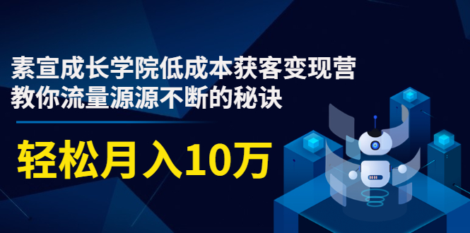 素宣成长学院低成本获客变现营，教你流量源源不断的秘诀，轻松月入10万-一起网赚吧