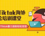 最新Tiktok海外掘金培训课堂：带你玩转Tiktok暴力涨粉轻松变现-一起网赚吧