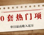30套热门项目：单日最高收入过万 (网赚项目、朋友圈、涨粉套路、抖音、快手)等-一起网赚吧
