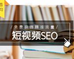 未来新趋势，布局短视频SEO，如何利用抖音SEO免费获得精准流量（3节课）-一起网赚吧