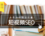 未来新趋势，布局短视频SEO，如何利用抖音SEO免费获得精准流量（3节课）-一起网赚吧