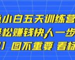 卓让闲鱼小白五天训练营，每天一小时，轻松赚钱快人一步-一起网赚吧