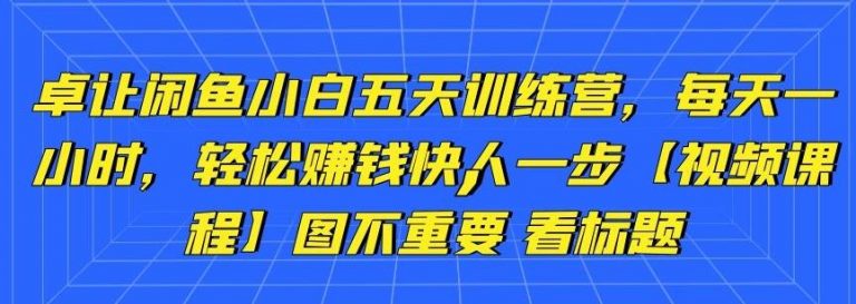 卓让闲鱼小白五天训练营，每天一小时，轻松赚钱快人一步-一起网赚吧