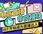 大鹏·电商直播带货课，系统学习直播带货各环节技巧和套路-一起网赚吧