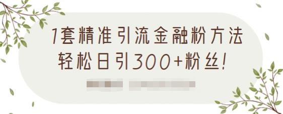 1套精准引流金融粉方法，轻松日引300+粉丝-一起网赚吧