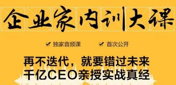 企业家内训大课，未来企业必学经验，价值1299元-一起网赚吧