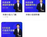 湛北·抖音小店入门进阶高阶合集,八大玩法打造百万店铺-一起网赚吧