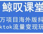 鲸叹号·海外TIKTOK训练营,百万项目海外版抖音tiktok流量变现玩法-一起网赚吧